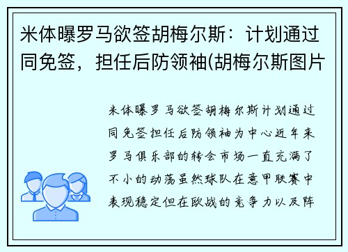 米体曝罗马欲签胡梅尔斯：计划通过同免签，担任后防领袖(胡梅尔斯图片)